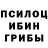 Псилоцибиновые грибы Psilocybe ondexb