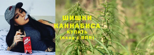 индика Козловка