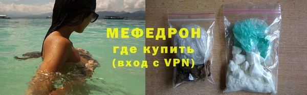 индика Козловка