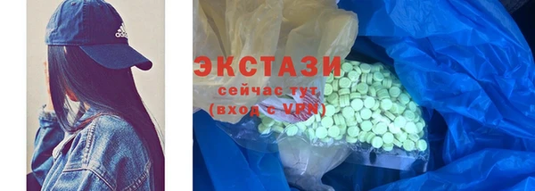индика Козловка