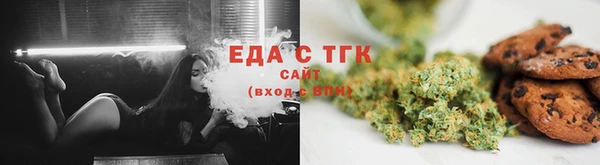 индика Козловка