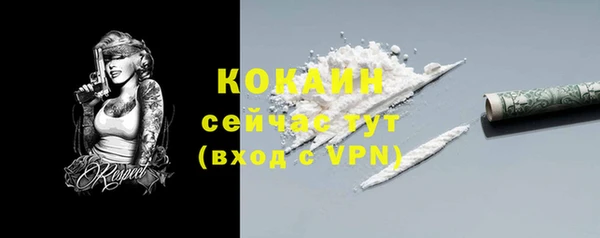 индика Козловка