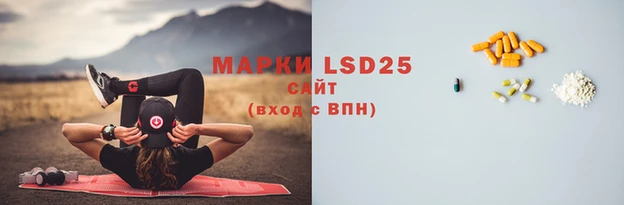 дмт Кодинск