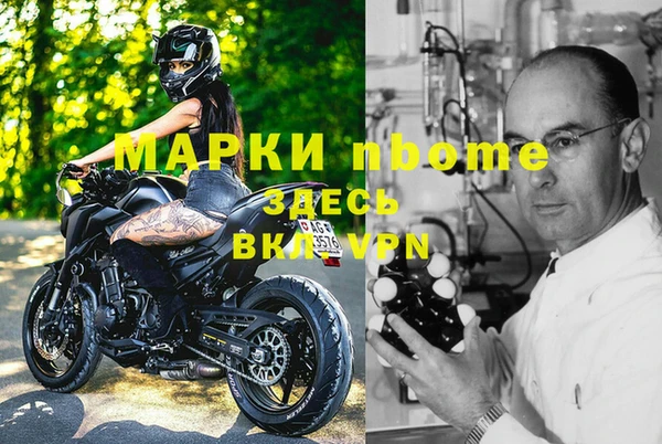 индика Козловка