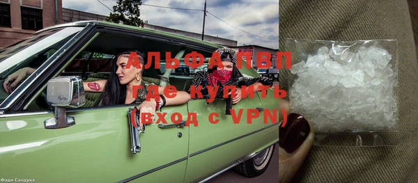индика Козловка