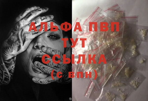 ПСИЛОЦИБИНОВЫЕ ГРИБЫ Козельск