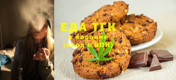 индика Козловка
