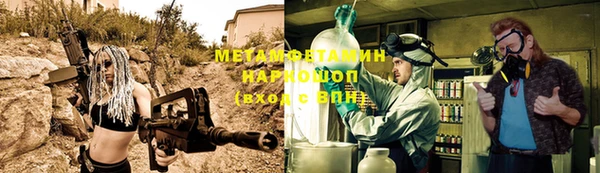 индика Козловка