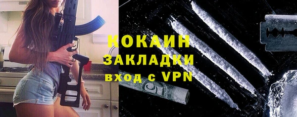 индика Козловка