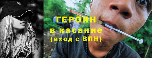 индика Козловка