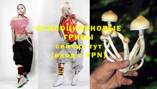 Альфа ПВП Тобольск