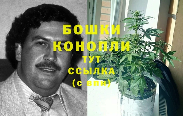индика Козловка
