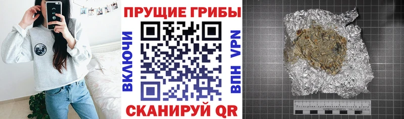 Купить где  Арск  Псилоцибиновые грибы Magic Shrooms 
